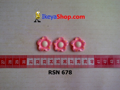 rsn 678  large2